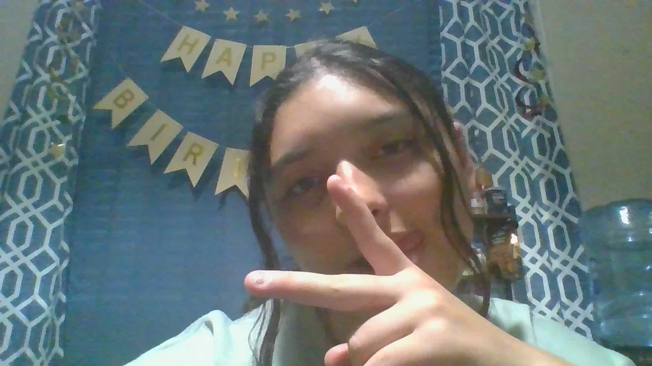 Image attachment from a user